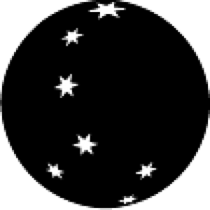 navi-logo-icon